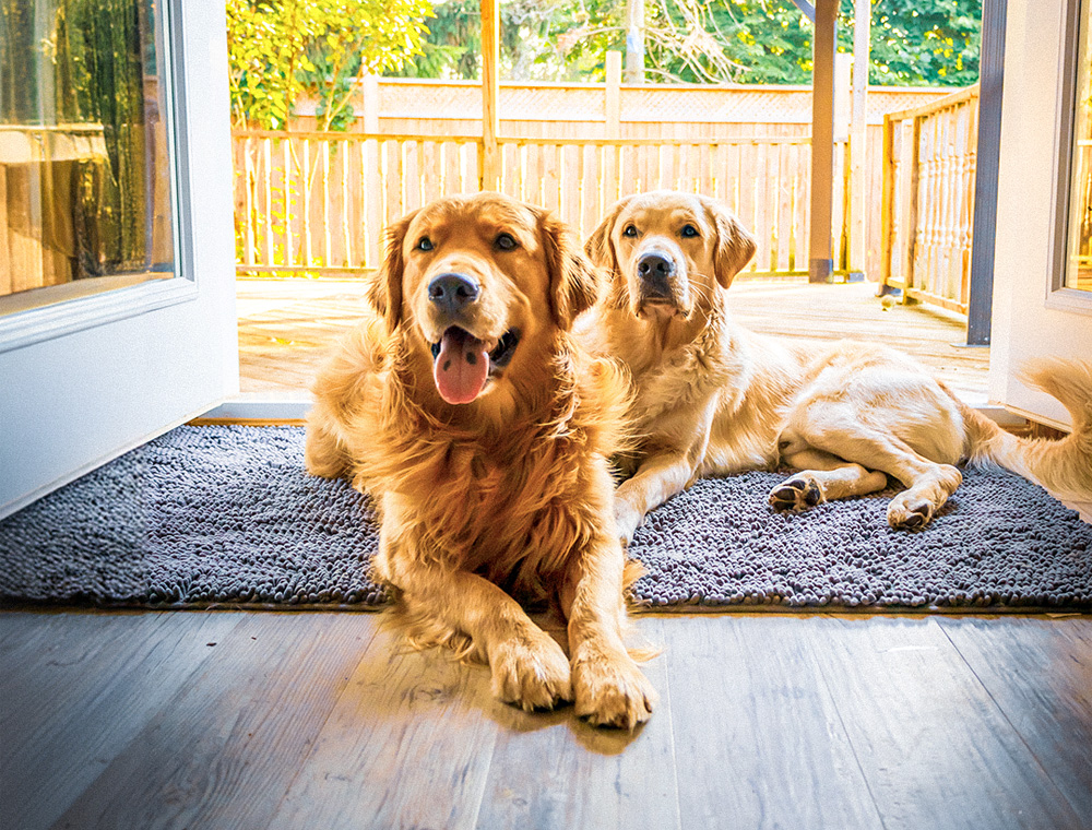 Upsell Products Next App